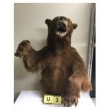 Bear Mount Bear Mount