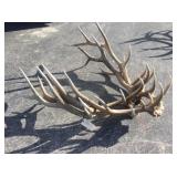 3) 6x6 Elk Bundle 42 lbs. 3) 6x6 Elk Bundle 42 lbs.