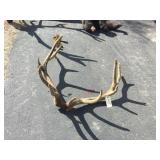 6x6 Bull Elk Velvet Skull Cap 6x6 Bull Elk Velvet Skull Cap