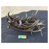 Bundle Elk Antlers 42 lbs. Bundle Elk Antlers 42 lbs.