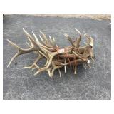 Bundle Elk Antlers 57 lbs. Bundle Elk Antlers 57 lbs.
