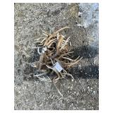 Deer Antler Bundle 35.4lbs Deer Antler Bundle 35.4lbs