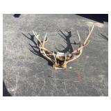 2) 5x6 Elk Antler Bundle 17 lbs. 2) 5x6 Elk Antler Bundle 17 lbs.