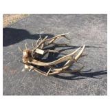 4) Rag Horn Elk Bundle 20 lbs. 4) Rag Horn Elk Bundle 20 lbs.