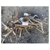Elk Antler Bundle 44.5lbs Elk Antler Bundle 44.5lbs