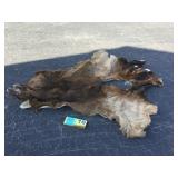 Tanned Elk Cape from 5x5 Tanned Elk Cape from 5x5