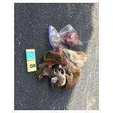 Mountain lion hide with skull and feet Mountain lion hide with skull and feet