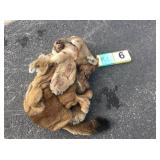 Mountain lion hide with skull and feet Mountain lion hide with skull and feet