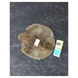Small beaver pelt Small beaver pelt