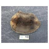 Large Beaver Pelt Large Beaver Pelt