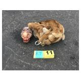 Mountain lion hide with skull and feet Mountain lion hide with skull and feet