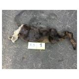 Otter pelt Otter pelt