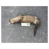 River Otter - Whole River Otter - Whole