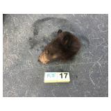 Black Bear - Skull Black Bear - Skull