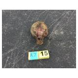 Bear skull Bear skull