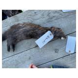 Whole Mink (Frozen) Whole Mink (Frozen)