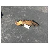 1 pine martin whole body 1 pine martin whole body