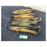 5 Raccoon pelts 5 Raccoon pelts