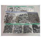 Assorted Bird Feathers Organized by Size