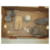 Petrified Wood, Calcite Rock, Lava Rock