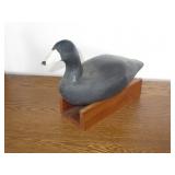 Duck Decoy