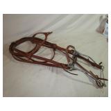 New Leather Bridle with Hackamore