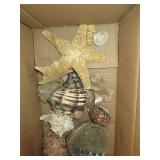 Seashells, Starfish,