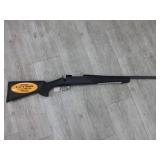Youth Howa Model 1500 22-250 Rifle