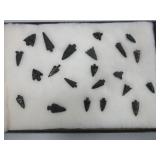 Display Box With Various Arrowheads