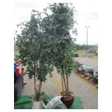 Artificial Plants