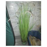 Cat Tails