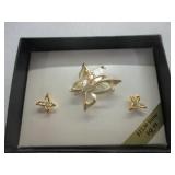 Earrings & Brooch