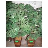 2) Silk Plants