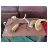 Horns, Horn Container