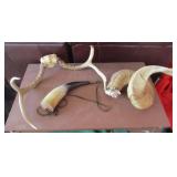 Ram and Deer Horns, Powder Horn