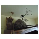 hornet nest