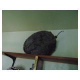 hornet nest