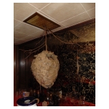 hornet nest