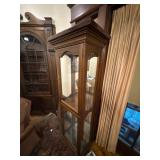 Modern Curio Cabinet with glass doors