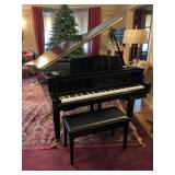 Yamaha Digital Baby Grand Pianocase