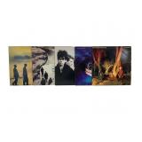 Echo and the Bunnymen Album Lot (5)