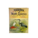 The Birds of North America by Studer