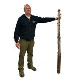 Antique Tree Form Cast Iron Hitching Post