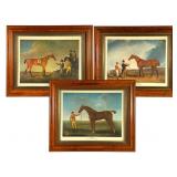 Three Framed Equine Portrait Prints