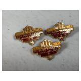14K Gold 3.0 DWT MTC Service Pins
