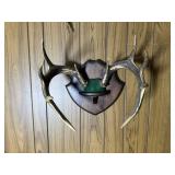 10 Mounted Animal Rack