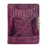 Victorian Era Velvet Photo Album & Loose Phot