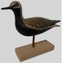 Tom Ahern Carved Golden Plover Shorebird Decoy