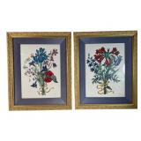 Nicolas Robert Pair of Botanical Engravings