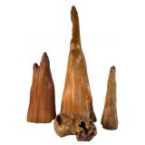 Group of Polished Cypress Knee Sculptures